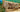 Melsonbee Honey Blog - July 2026