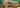 Melsonbee Honey Blog - July 2026