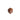 Toffee Apple – handmade by Mocha Chocolate Shop